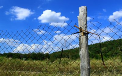 Offense Builds A Fence