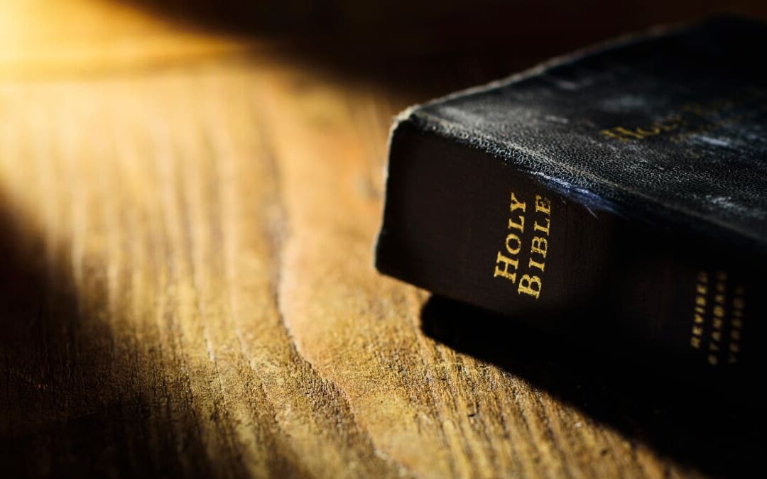 The Surprising Purpose of the Bible