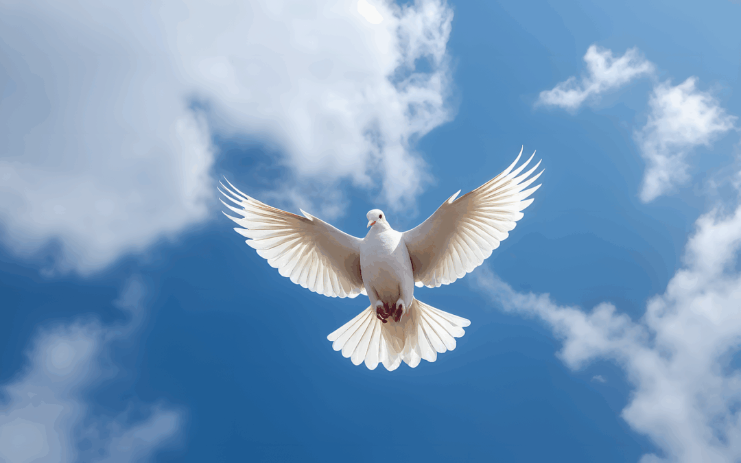 The Person of the Holy Spirit
