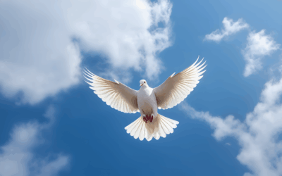The Person of the Holy Spirit