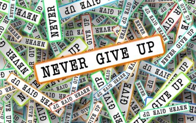 PERSEVERANCE AND PERSISTENCE