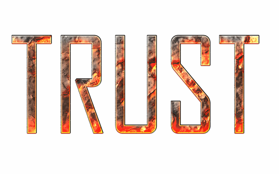 TRUST BRINGS PROVISION