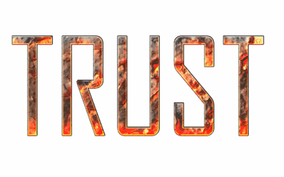 TRUST BRINGS PROVISION