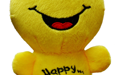 Authentic Joy verses Worldly Happiness